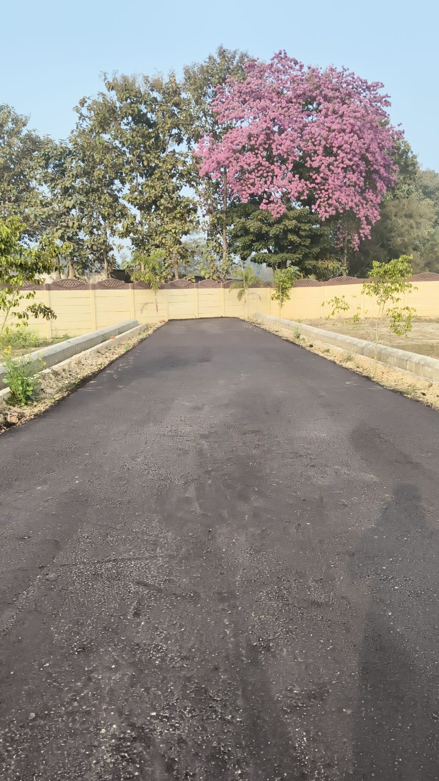 filter: null; fileterIntensity: null; filterMask: null; captureOrientation: 90;
runfunc: 0; algolist: 0;
multi-frame: 1;
brp_mask:0;
brp_del_th:0.0000,0.0000;
brp_del_sen:0.0000,0.0000;
motionR: null;
delta:null;
module: remosaic;hw-remosaic: false;touch: (-1.0, -1.0);sceneMode: 8;cct_value: 0;AI_Scene: (-1, -1);aec_lux: 140.0;aec_lux_index: 0;albedo:  ;confidence:  ;motionLevel: 0;weatherinfo: null;temperature: 41;